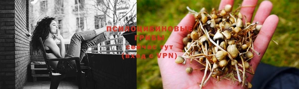 а пвп мука Абдулино