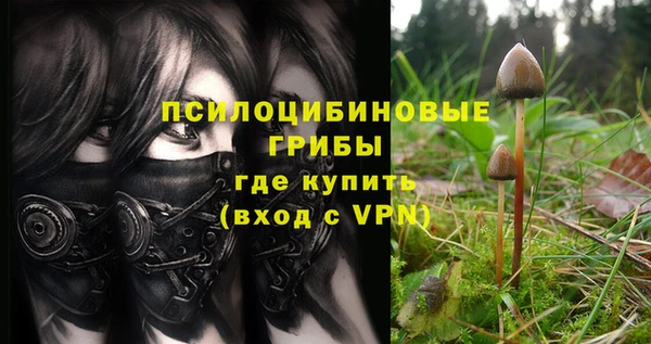 стафф Абинск