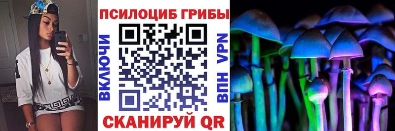 Галлюциногенные грибы мухоморы  площадка официальный сайт  Чекалин 